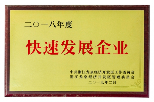 2018年度快速發(fā)展企業(yè)